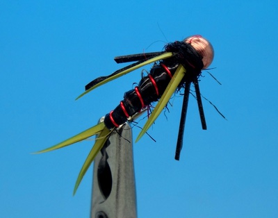 SFT-studio 14059   BH Prince Nymph Rubber Leg Black (,  1)