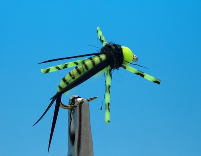 SFT-studio 14053   BH Prince Nymph Rubber Leg Chartreuse (,  1)