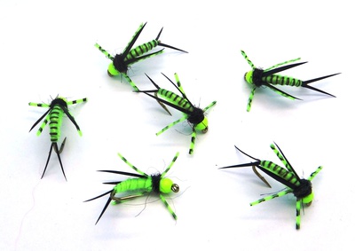 SFT-studio 14053   BH Prince Nymph Rubber Leg Chartreuse (,  2)