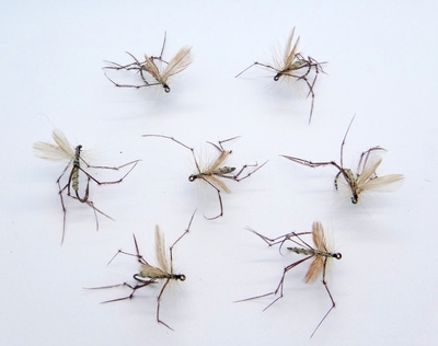 Pacific Fly Group 11241   Crane Fly Adult (,  2)