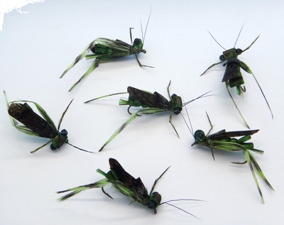 Pacific Fly Group 11127   BMAR Hopper Olive (,  1)