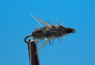 Pacific Fly Group 14113   Brent's Boatman (,  1)