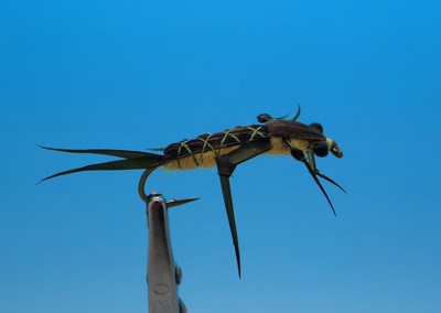 Pacific Fly Group 14002    Ted's Stonefly Golden (,  1)