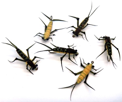 Pacific Fly Group 14002    Ted's Stonefly Golden (,  2)