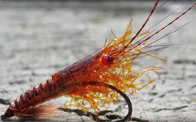 Hareline 55128  Dyed UV Polar Chenille (,  6)