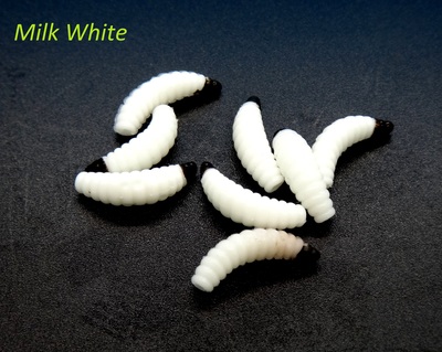 SFT-studio 19255   Larvae of Bark Beetle (,  2)