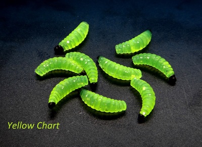 SFT-studio 19255   Larvae of Bark Beetle (,  3)