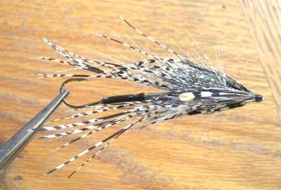 Veniard 53132    Amherst Phesant Complete Tail (, Veniard Amherst Phesant Complete Tail )