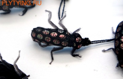 SFT-studio 14537    Black Flash Beetle (,  3)