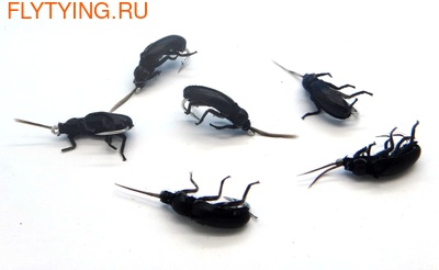 SFT-studio 14538    Black Drop Beetle (,  2)