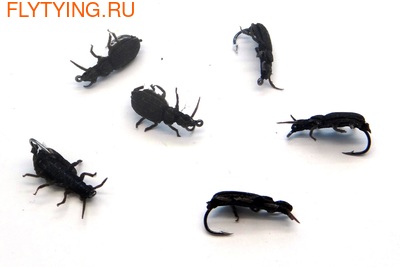 SFT-studio 14539    Ground Beetle (,  2)
