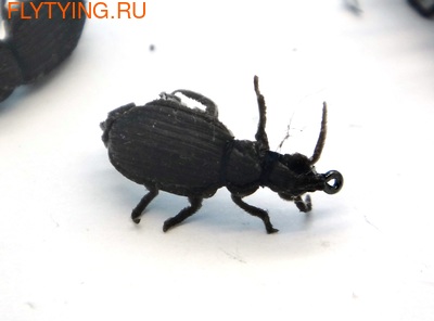 SFT-studio 14539    Ground Beetle (,  3)