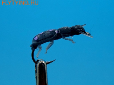 SFT-studio 14540    Purple Flash Beetle (,  1)
