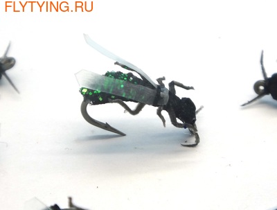 SFT-studio 14541  Green Fly (,  3)