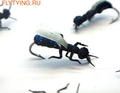 SFT-studio 14542  Blue Fly (,  3)