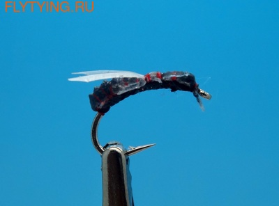 SFT-studio 14543  Flying Ant (,  1)