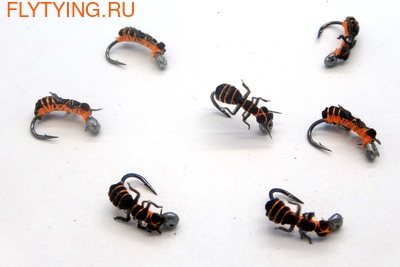 SFT-studio 14544  Ginger Forest Ant (,  2)