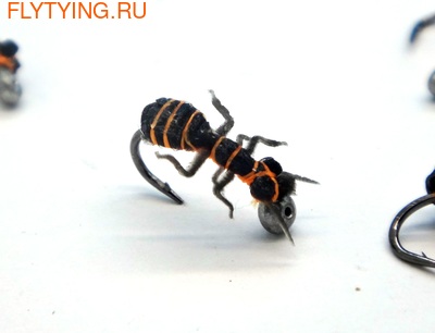 SFT-studio 14544  Ginger Forest Ant (,  3)