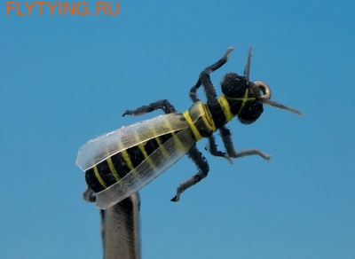 SFT-studio 14545  Wild Wasp (,  1)
