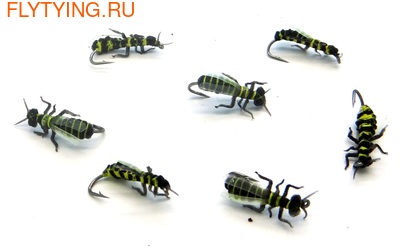 SFT-studio 14545  Wild Wasp (,  2)