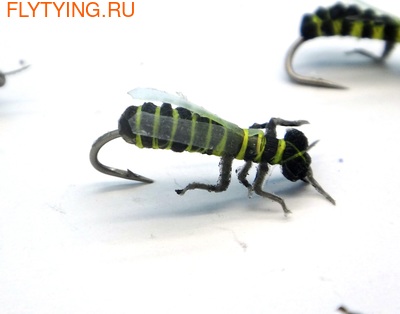 SFT-studio 14545  Wild Wasp (,  3)