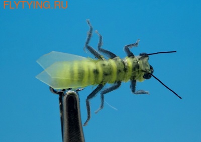 SFT-studio 14548  Stone Fly Adult (,  1)