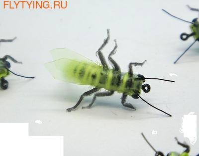 SFT-studio 14548  Stone Fly Adult (,  3)