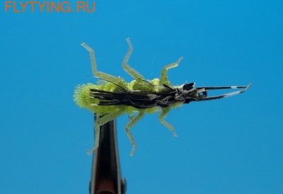 SFT-studio 14549  Stone Fly Larva (,  1)