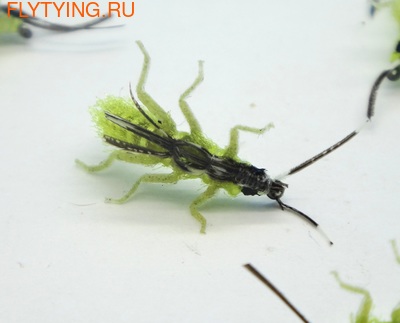 SFT-studio 14549  Stone Fly Larva (,  3)
