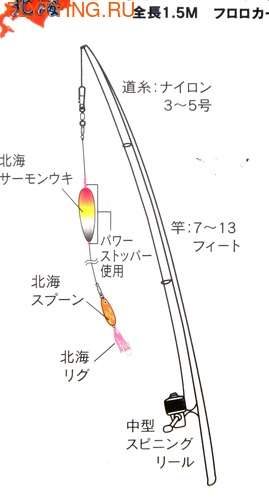 Nakazima 19401    Hokkai Salmon GT (,  1)