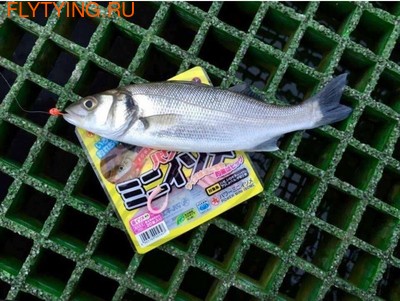 Marukyu 19356  - POWER ISOME SOFT (,  4)