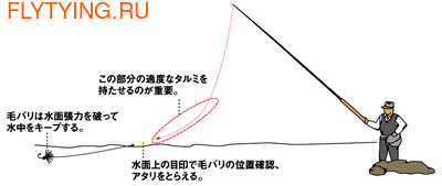 Daiwa 10658    Toughlon Tenkara Level Line (,  2)
