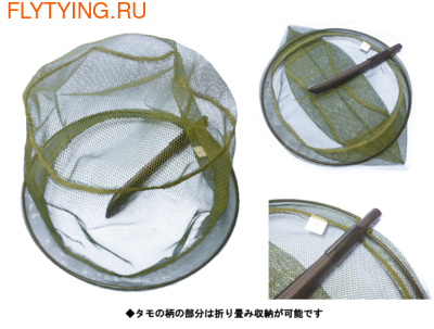 Siyouei 81396   Ayu Olive (,  2)