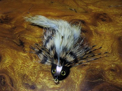 Fish Skull 58053  - Sculpin Helmet (,  4)