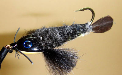 Fish Skull 58053  - Sculpin Helmet (,  14)