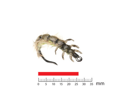 J:son&Co 58301     Realistic Nymph Backs for Caddis Larva RNB-CL (,  1)