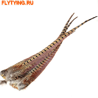 Hareline 53055    Ringneck Pheasant Complete Tail Clump