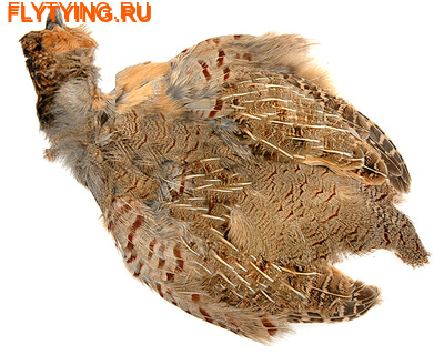 Hareline 53076    PARTRIDGE SKIN ()