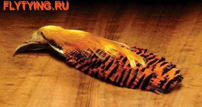 Hareline 53064     Golden Pheasant Complete Head