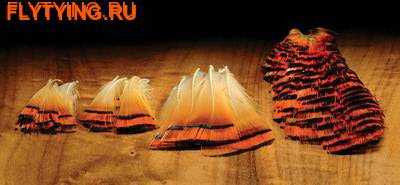 Hareline 53065      GOLDEN PHEASANT TIPPET