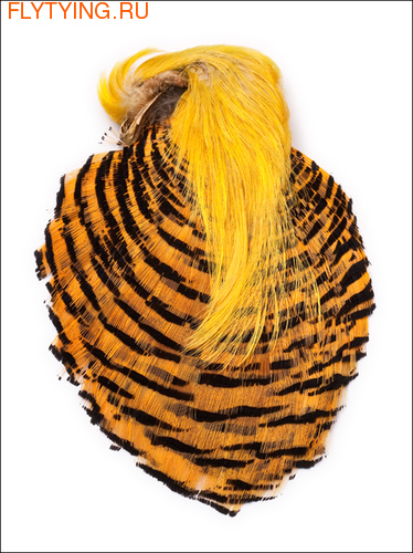 Nature's Spirit 53066    Golden Pheasant Complete Head