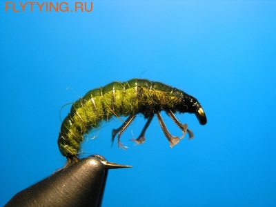 SFT-studio 14011    Free living caddis larva