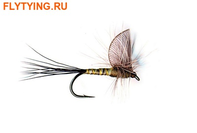 Pacific Fly Group 11092   Hackle Wing Mayfly Green Drake ()