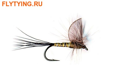 Pacific Fly Group 11092   Hackle Wing Mayfly Green Drake ()