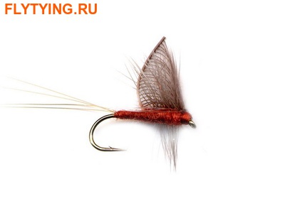 Pacific Fly Group 11096   Hackled Wing Mayfly Mahagony ()