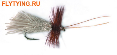 Pacific Fly Group 11100   Goddard Sedge ()