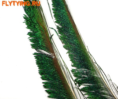 Hareline 53005    PEACOCK SWORDS