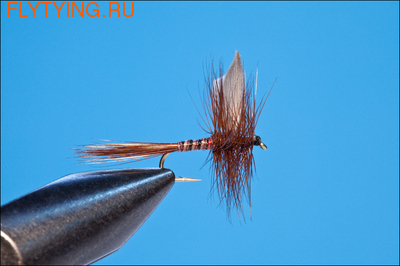 Rusangler 11107   Red Quill Winged