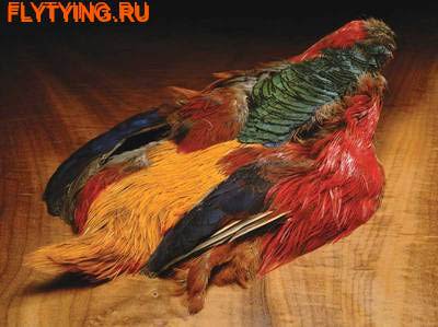 Hareline 53085 Перо фазана Golden Pheasant (Whole Skin) Hareline 53085 Перо фазана Golden Pheasant (Whole Skin) (фото)