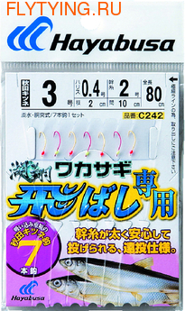Hayabusa 10040    C-242 ()